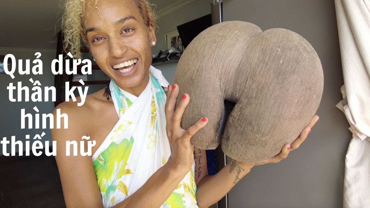 Truy tìm quả dừa thần kỳ ở quốc gia giàu nhất Châu Phi Seychelles